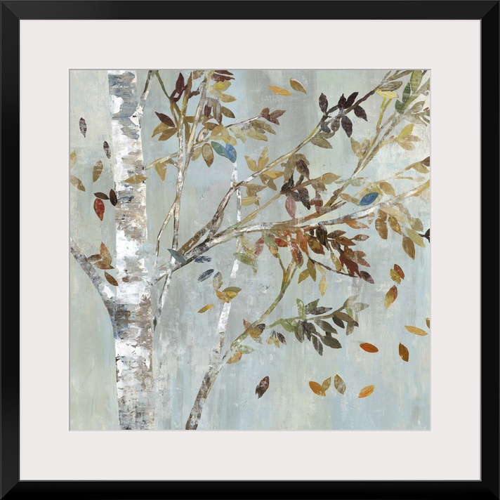 A birch tree with leafy branches in the fall.