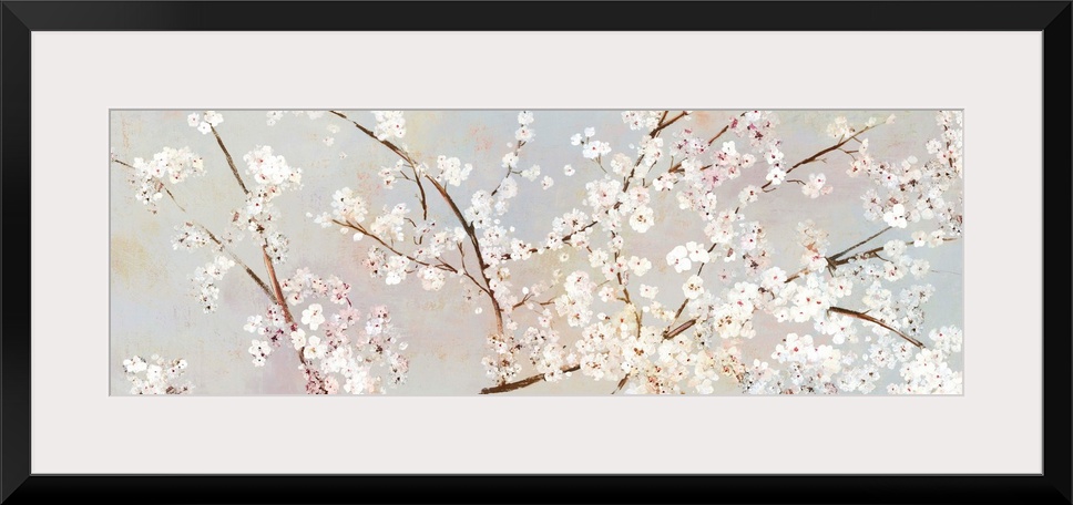 A long panoramic painting of a large branch of white cherry blossoms.