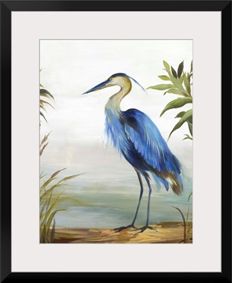 Blue Heron