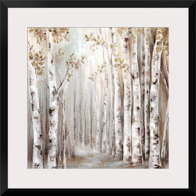 Sunset Birch Forest III