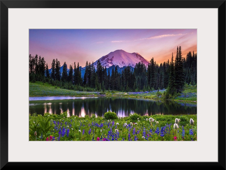 Flowers along the edge of a lake with Mount Rainier in the distance, at sunset.