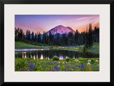 Wildflowers by Tipsoo Lake