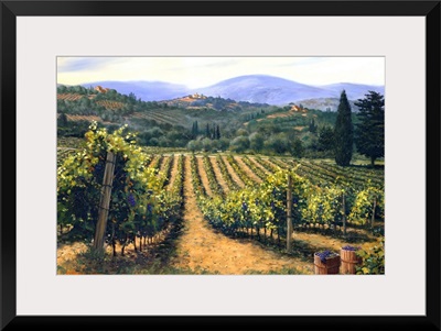 Tuscan Vines