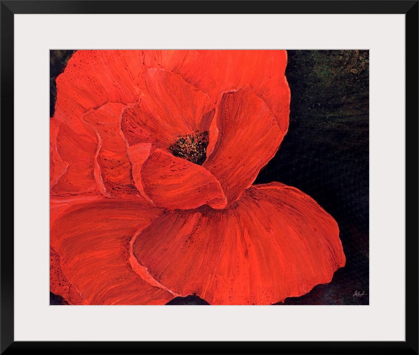 A decorative accent for the home or office this painting is a poppy with its petals spread wide on a dark backdrop.