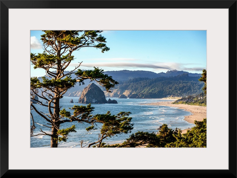 Landscape photograph of Cannon Beach through trees with Haystack Rock in the distance.