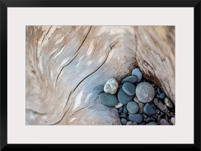 Photograph of smooth rocks piled on top of a piece of driftwood on the pacific northwest coast.