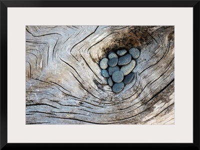 Driftwood and Rocks II