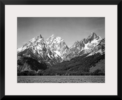 Grand Teton, Grassy Valley, Tree Covered Mountain Side And Snow Covered Peaks