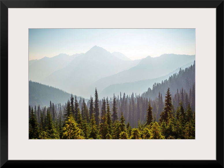 View of Hurricane Ridge with Mount Angeles in the background, Olympic National Park, Washington.