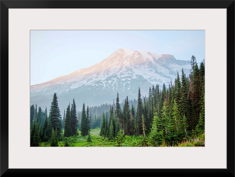 View of Mount Rainier's peak in Mount Rainier National Park, Washington.