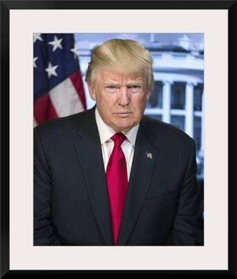 President Donald Trump