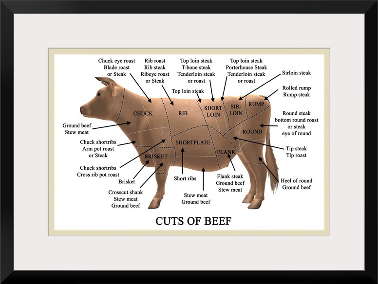 Cuts of beef. Computer artwork illustrating primal and subprimal cuts of beef and their names. Primal cuts (shown with bla...