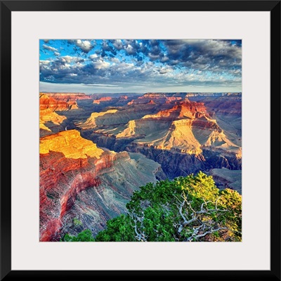 Morning Light At Grand Canyon