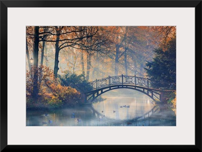 Old bridge in misty park at autumn