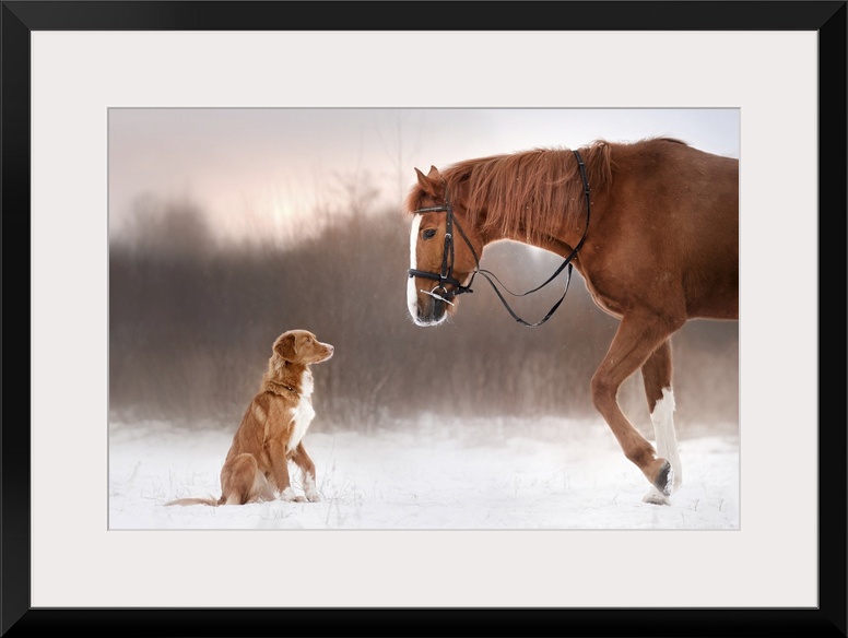 Red horse and red dog walking in the field in winter.