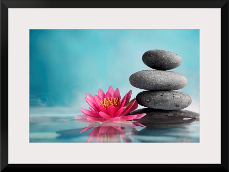 Spa still life with water lily and zen stone in a serenity pool.