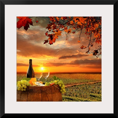 White wine on barrel in vineyard in Chianti, Tuscany, Italy