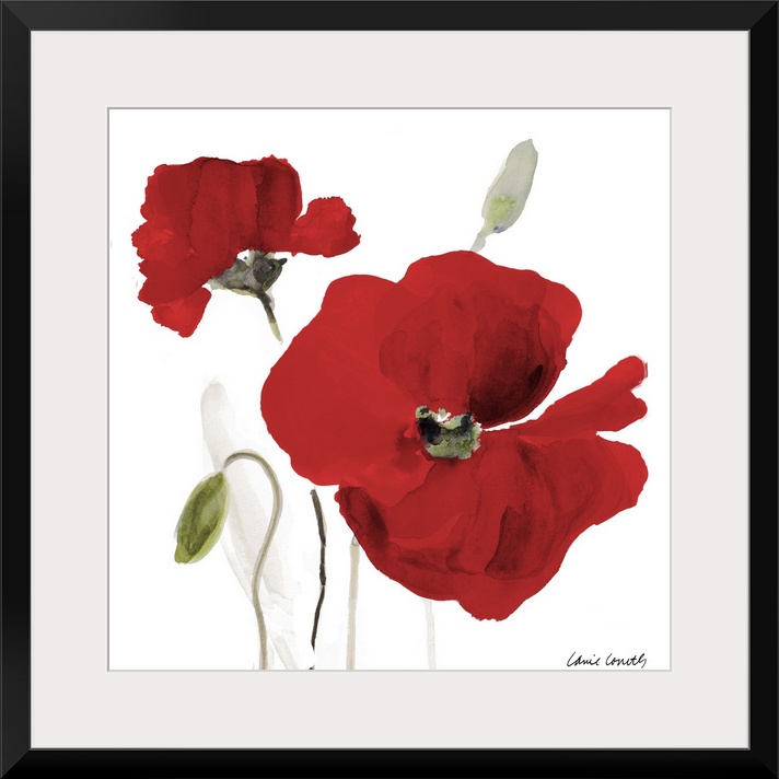 Square watercolor painting of two red poppy flowers.