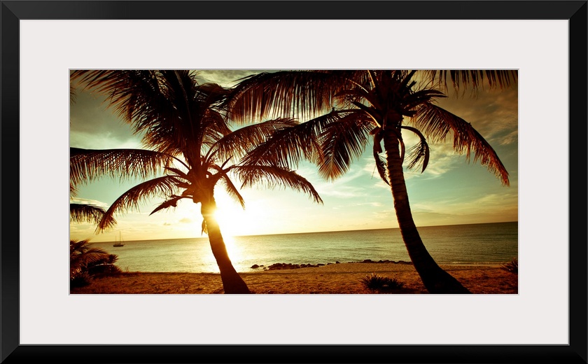 Panoramic photograph of beach in the Bahamas at dusk with huge palm tress in the foreground.   The sky is cloudy and the s...