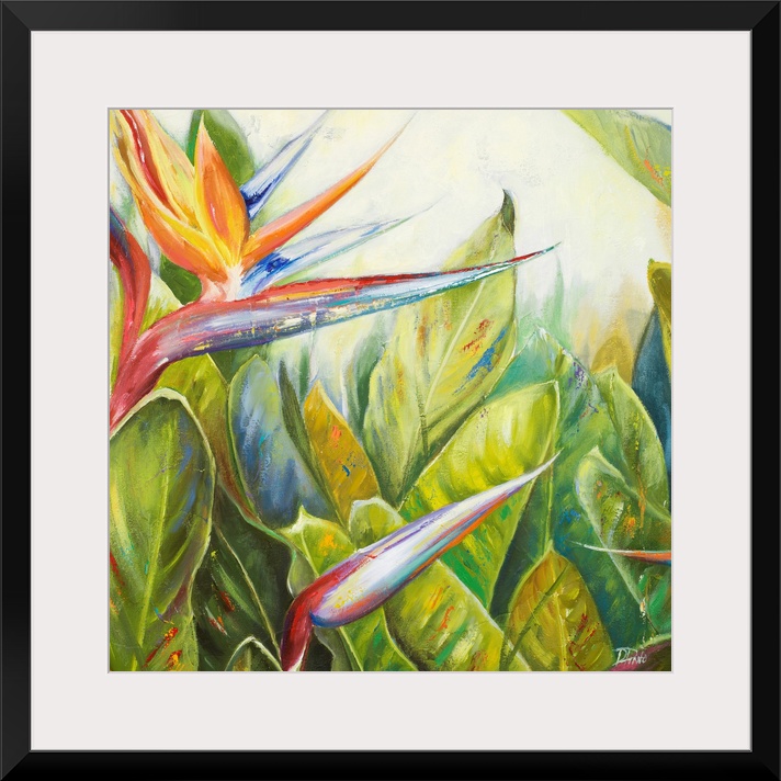 Square, giant floral painting of two bird of paradise flowers, one bloomed, amongst a large bunch of big green leaves exte...