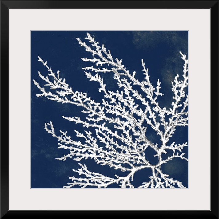 A drawing of coral over a dark ink washes in this square decorative wall art.