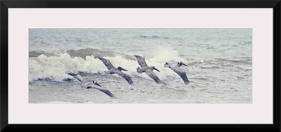 A photograph of four pelicans flying in a line over ocean waves.