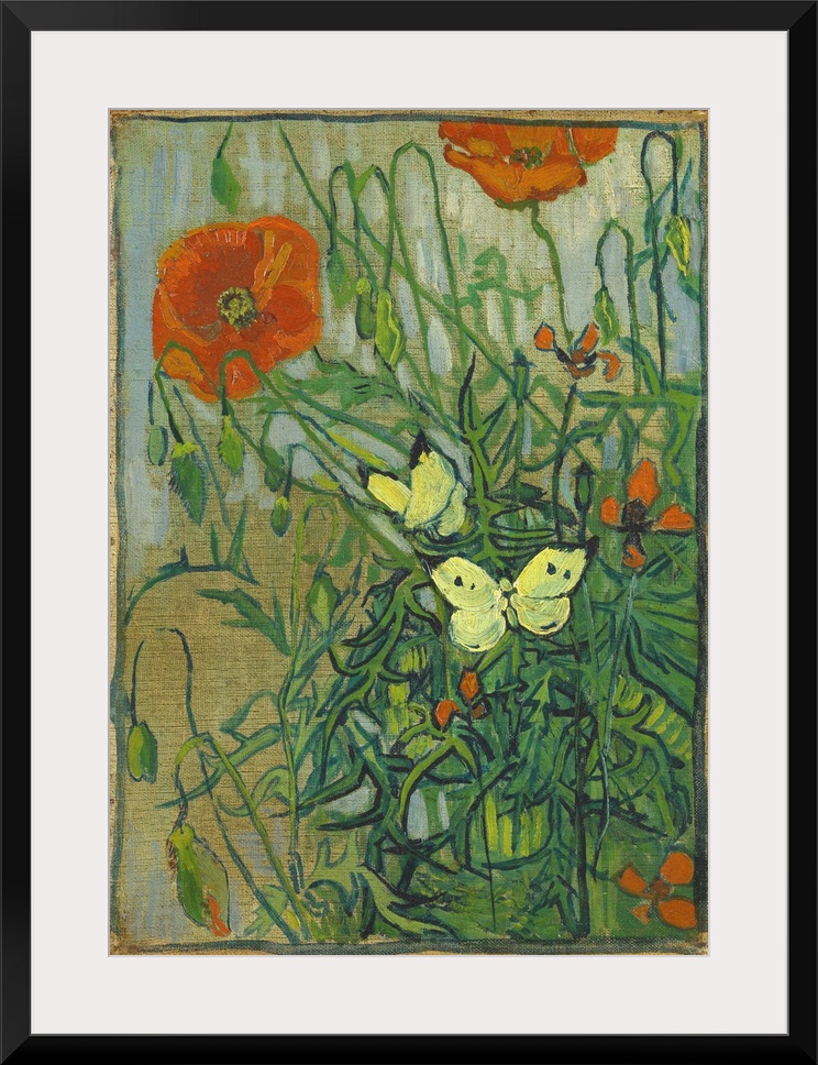 Van Gogh, Poppies, 1890. 'Poppies And Butterflies.' Oil On Canvas, Vincent Van Gogh, 1890.