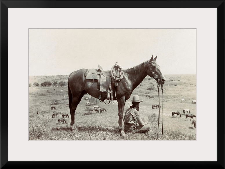 Texas, Cowboy, C1910. A Horse Wrangler Seated Next To His Horse On A Hill And Looking Down At Other Horses Grazing In A Fi...