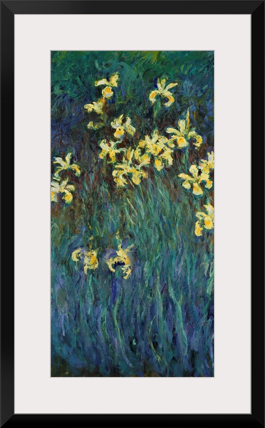 Monet, Yellow Irises. Oil On Canvas, Claude Monet, C1915.