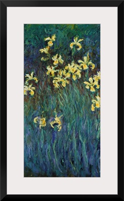 Yellow Irises