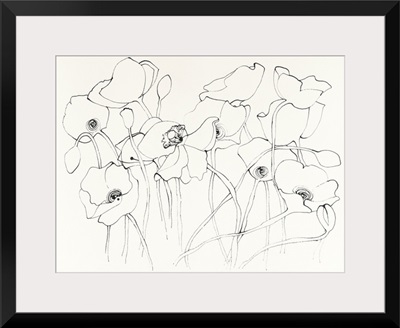 Black Line Poppies III