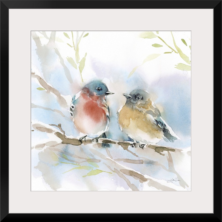 Bluebird Pair In Spring