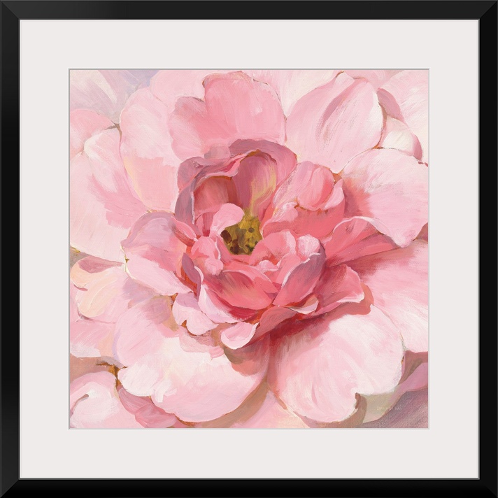 Blushing Peony