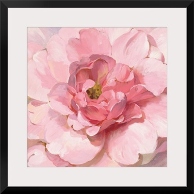 Blushing Peony
