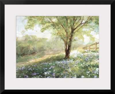 Field Of Bluebells Neutral