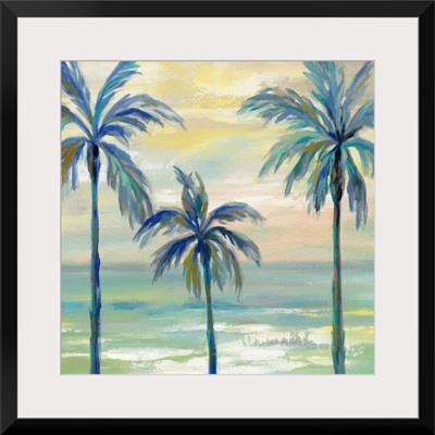 Marine Layer Palms Crop