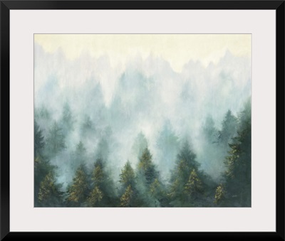 Misty Forest