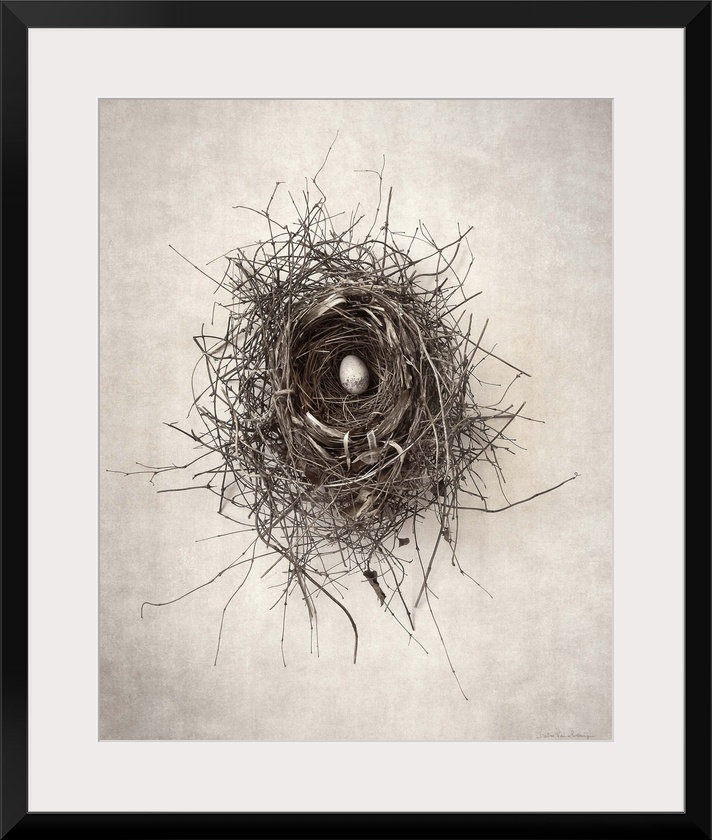 Antique style photograph of a bird's nest with a single egg inside.