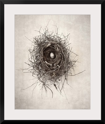 Nest I