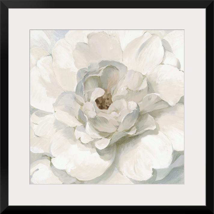 Neutral Peony