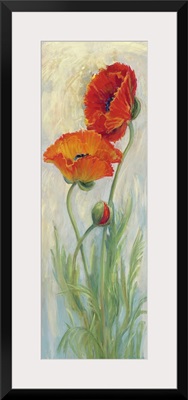 Rembrandt Poppies