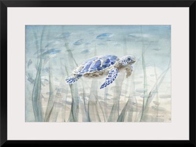 Undersea Turtle