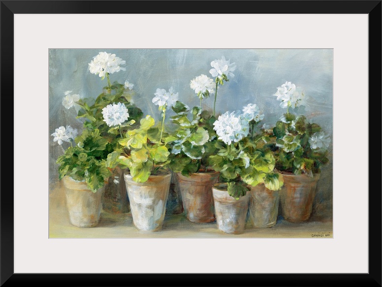 White Geraniums