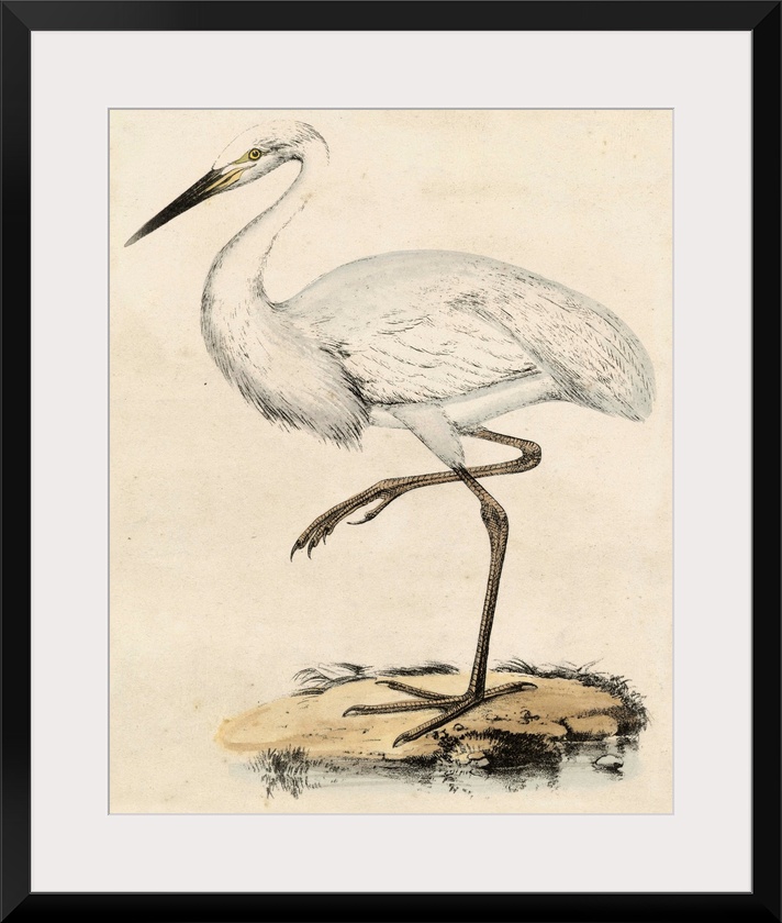 Antique Heron III