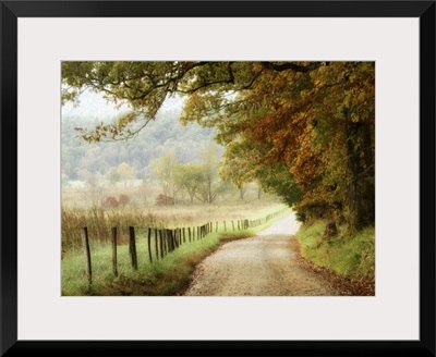 Autumn on a Country Road