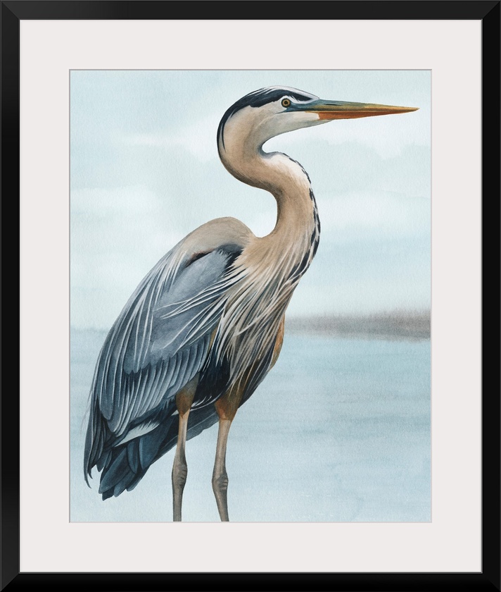 Back Bay Heron I