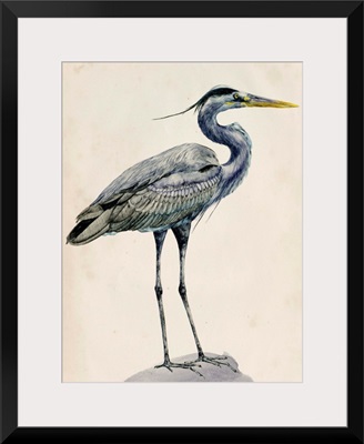 Blue Heron Rendering I