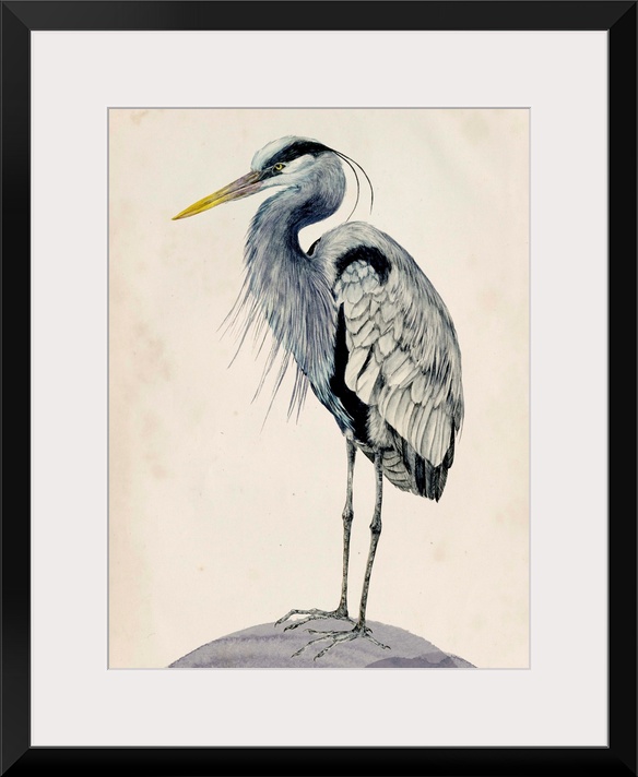 Detailed painted illustration of a blue heron sitting on a rock.