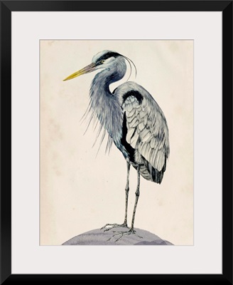 Blue Heron Rendering II