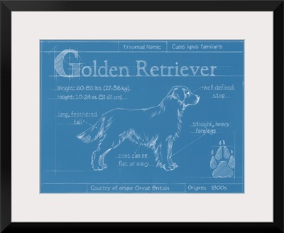 Blueprint Golden Retriever